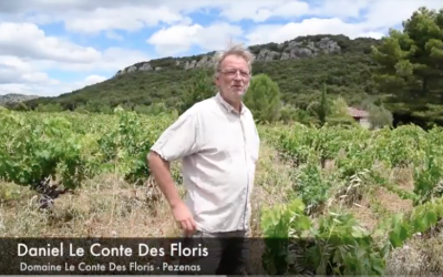 De la vigne à la bouteille, ma philosophie du vin à Pézenas en Vidéo