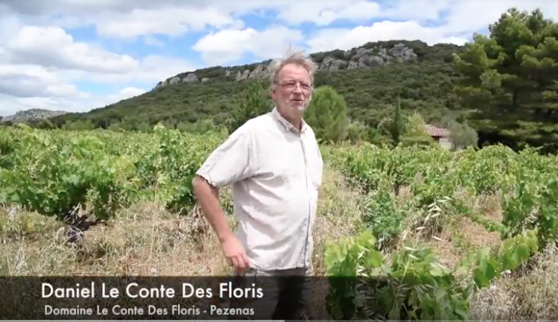 De la vigne à la bouteille, ma philosophie du vin à Pézenas en Vidéo