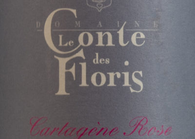Cartagène Rose